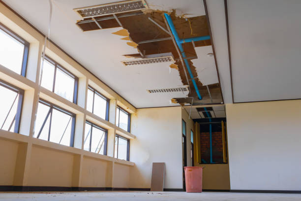 Best Local water damage restoration  in Dalton, OH