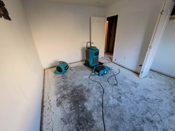 Best Water damage restoration near me  in Dalton, OH