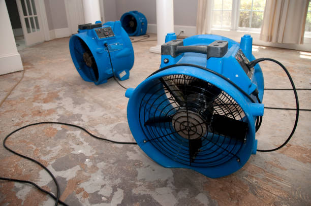 Best Water damage cleanup near me  in Dalton, OH